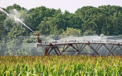 Idea-Re’s article on Machine Learning applied to irrigation has been published